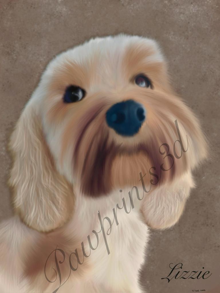 cockapoo portrait